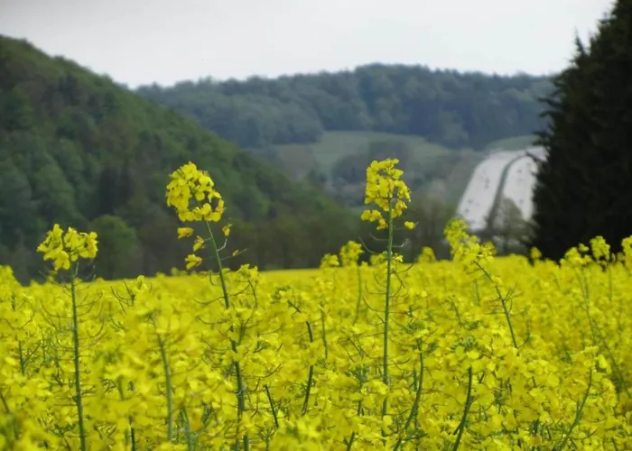 Lakeside Family Escape Appartement *