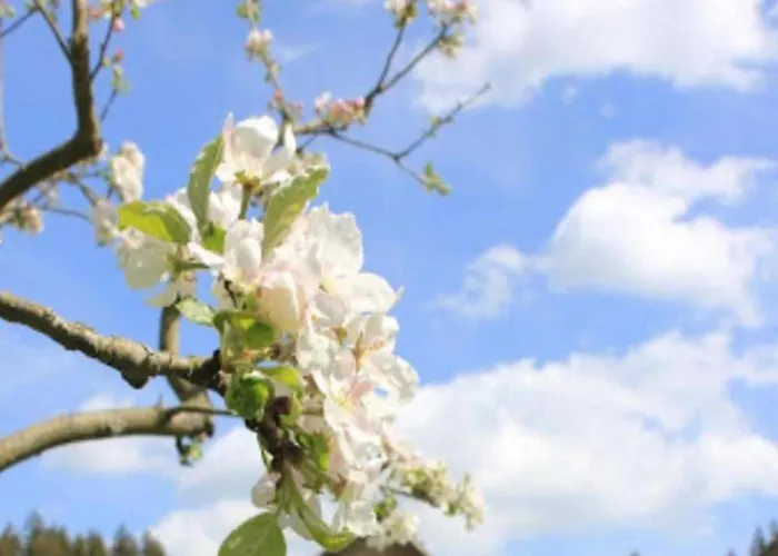 Lakeside Family Escape Appartement Burgk (Saale-Orla-Kreis)